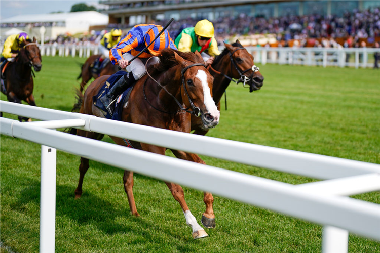 LOVE winning the Prince Of Wales's Stakes at Royal Ascot in England.