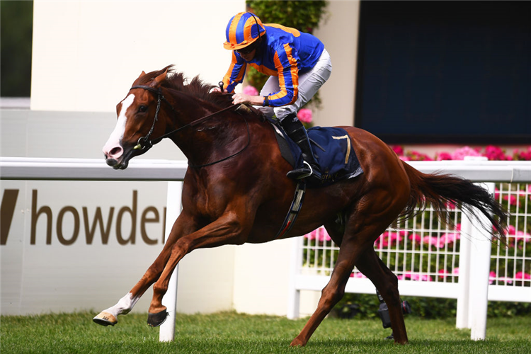 LOVE winning the Prince Of Wales's Stakes at Royal Ascot in England.