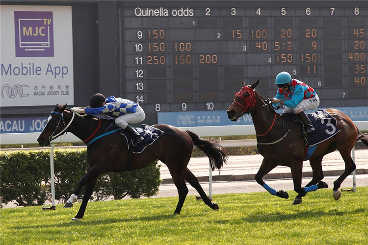 LOVER PARADISE winning the THE GOOD FORTUNE