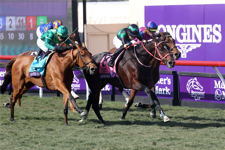 LOVES ONLY YOU winning the Breeders' Cup Filly and Mare Turf at Del Mar in California.