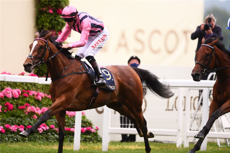 LOVING DREAM winning the Ribblesdale Stakes at Royal Ascot in England.