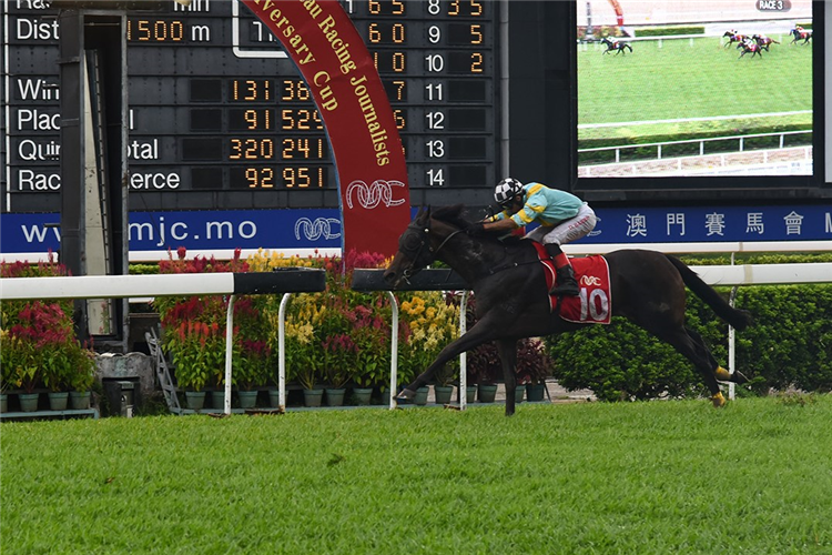 LUCKY DOUBLE winning the THE ASSOCIATION OF MACAU RACING JOURNALISTS 30th ANNIVERSARY CUP