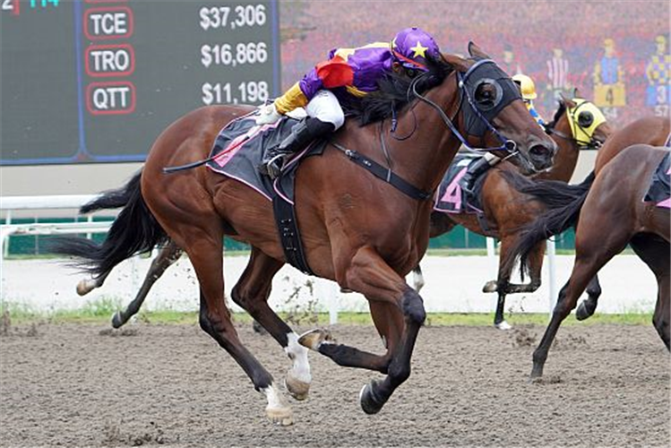 LUCKY JINSHA winning the CLASS 4