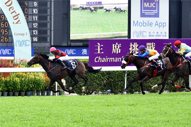 LUCKY STAR winning the THE TOKYO (Div 1)