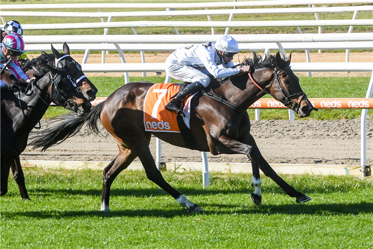 LUNAR FLARE winning the R.M. Ansett Classic at Mornington in Australia.