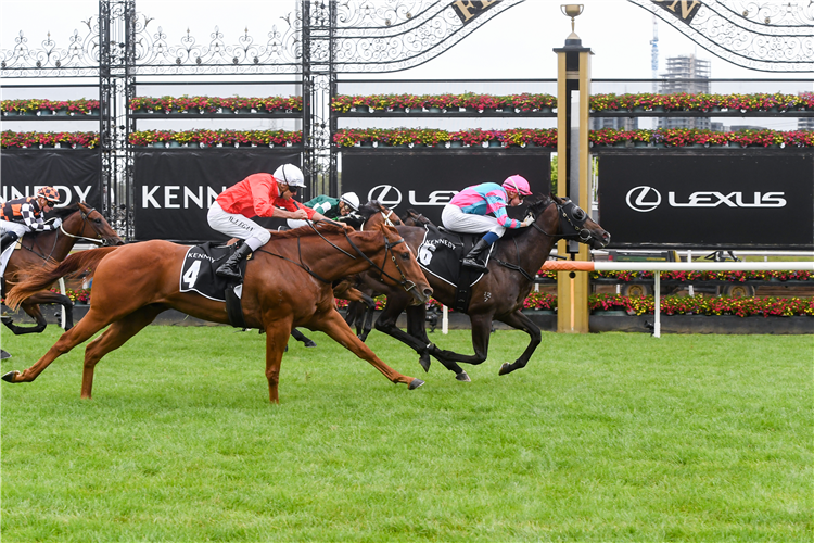 LUNAR FOX winning the Australian Guineas at Flemington in Australia.