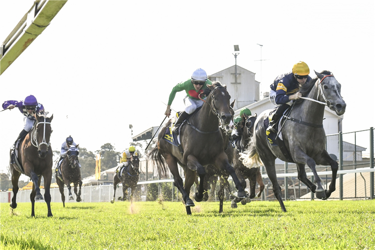 LUNCIES winning the Living Turf (Bm78) at Hawkesbury in Australia.