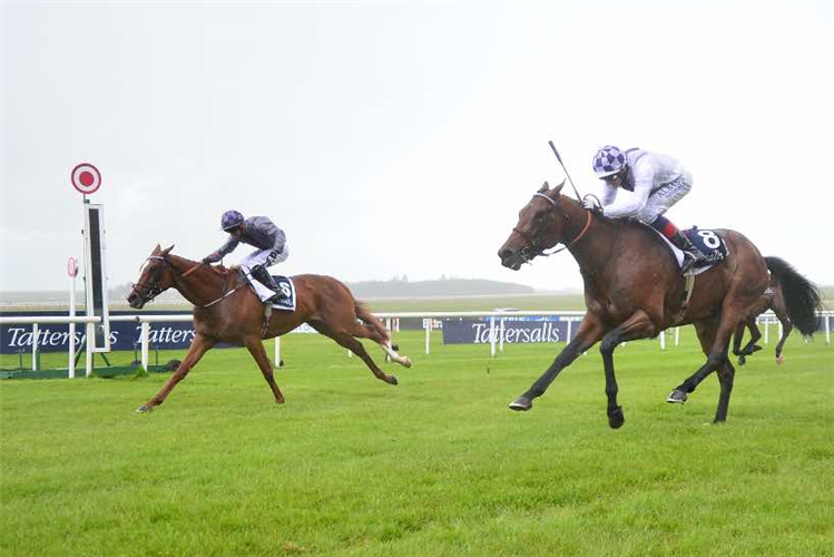 2022 Irish 2000 Guineas Race History Racing and Sports