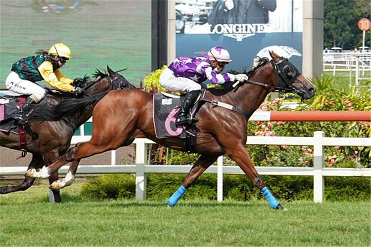 MAKKEM LAD winning the SUPER EASY 2012 STAKES CLASS 2