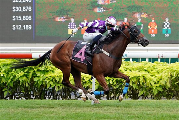 MAKKEM LAD winning the FLAX 2012 STAKES KRANJI STAKES A