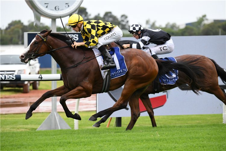 MALLORY winning the Widden Stakes at Rosehill in Austrailia.