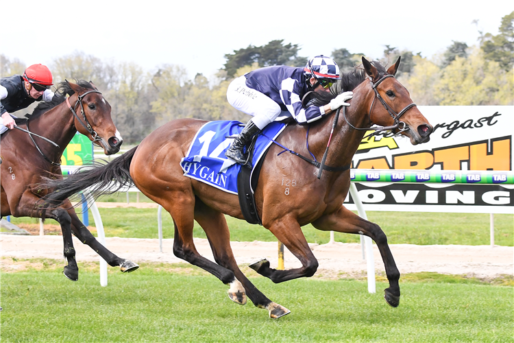 MARACANA winning the bet365 Hanging Rock Cup Jan 26 Fillies and Mares Mdn Plte in Kyneton, Australia.