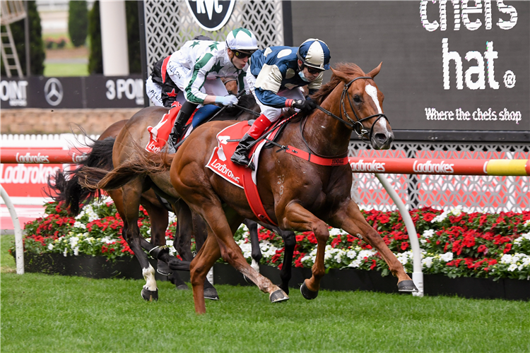 MARINE ONE winning the Chef's Hat Handicap at Moonee Valley in Moonee Ponds, Australia.