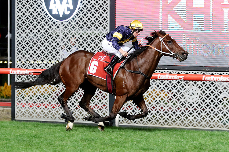 MASKED CRUSADER winning the Keogh Homes William Reid Stks