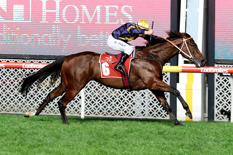 MASKED CRUSADER winning the Keogh Homes William Reid Stks