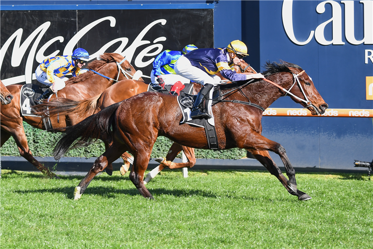 MASKED CRUSADER winning the The Heath 1100 Stakes at Caulfield in Australia.
