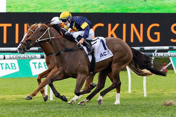 MASKED CRUSADER winning the Acy Securities Premiere Stks