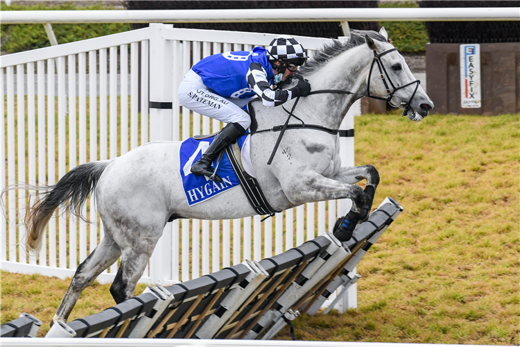 MAWAANY MACHINE winning the Ecycle Solutions Hrdl (Bm120) at Pakenham in Australia.