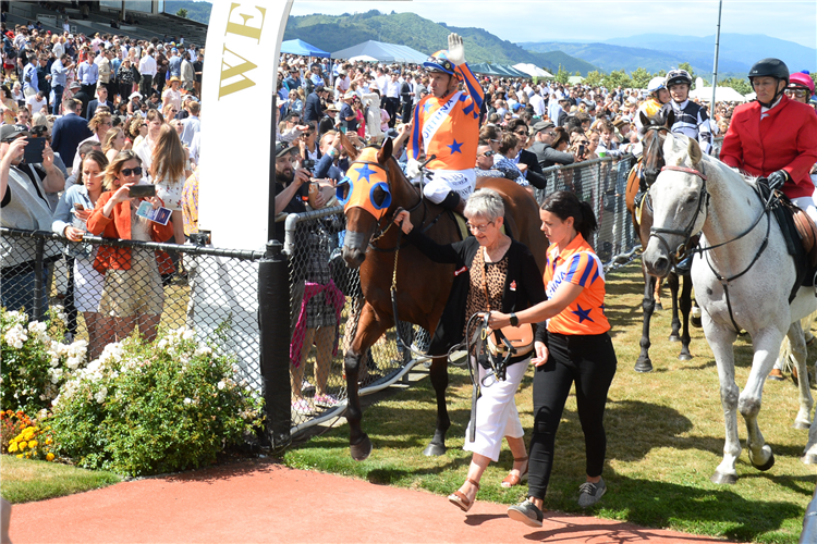 Reigning New Zealand Horse of the Year Melody Belle