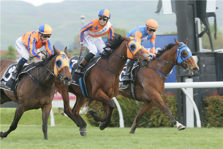 Melody Belle (centre) will renew her rivalry with stablemate Avantage (left) in Saturday’s Gr.1 Bonecrusher New Zealand Stakes (2000m) at Ellerslie.