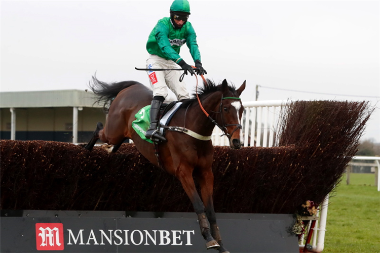 MESSIRE DES OBEAUX winning the Paddy Power Dipper Novices' Chase (Grade 2) (GBB Race)