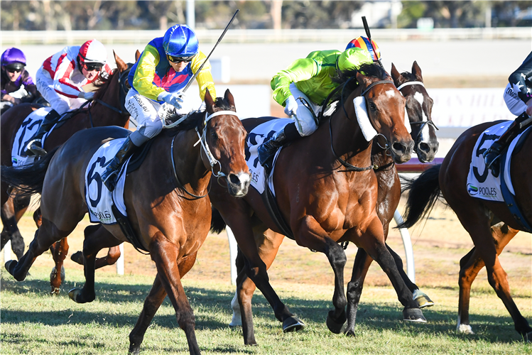 MIDSHIPS winning the Pooles Accountants Golden Topaz in Swan Hill, Australia.