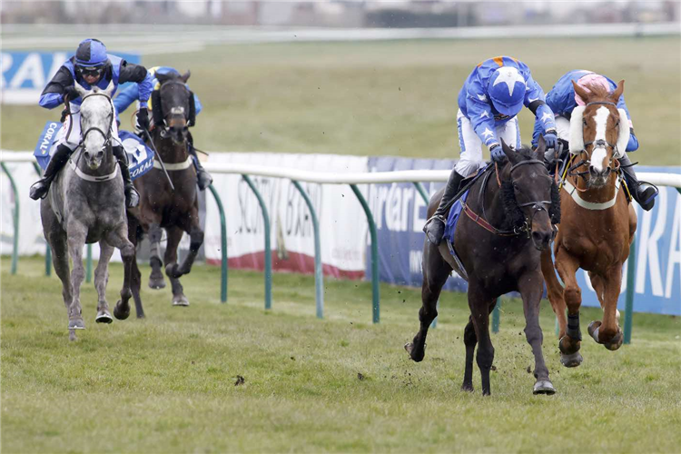MIGHTY THUNDER winning the Coral Scottish Grand National Handicap Chase (Grade 3) (GBB Race)