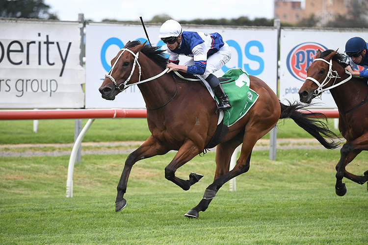 MIGHTYBEEL winning the Alf Kneebone Trans Tasman-Bm88