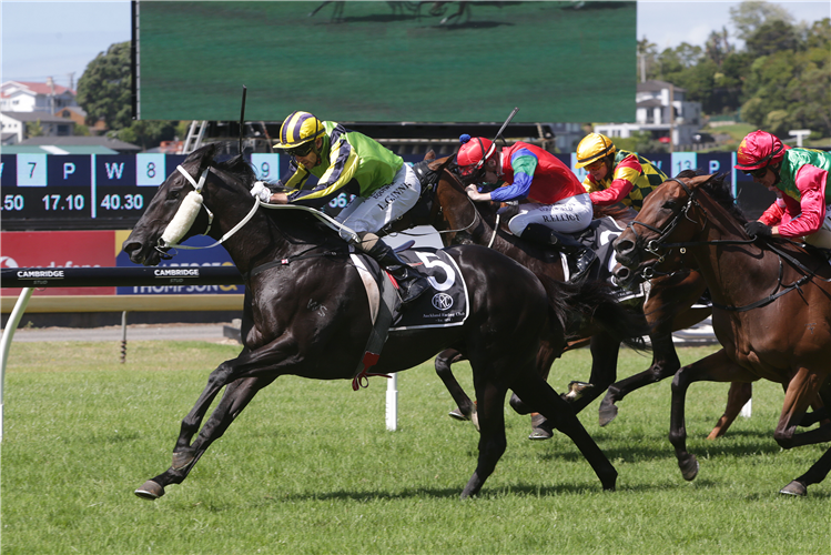 MILFORD winning the Te Akau Gingernuts Salver