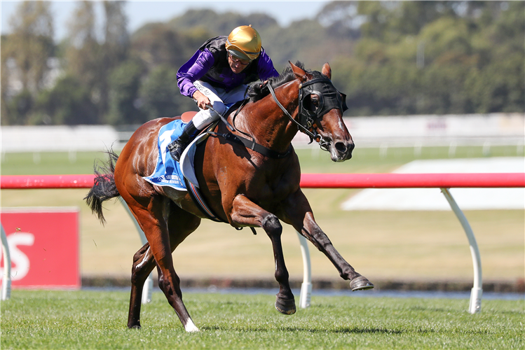 MILTON PARK winning the Tile Importer Hcp at Sandown Hillside in Australia.