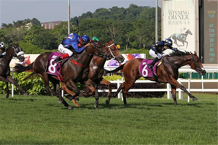 MINISTER winning the KRANJI MILE GROUP 1