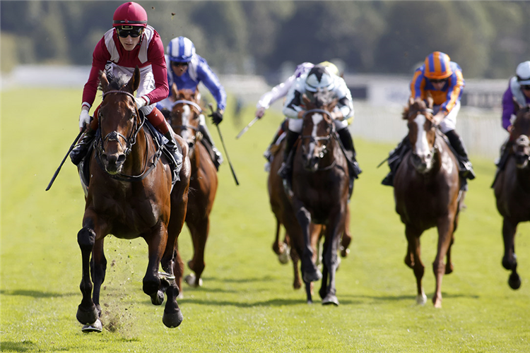 MISHRIFF winning the Juddmonte International Stakes (Group 1)