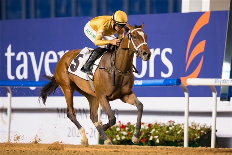 MNASEK winning the UAE Oaks Sponsored By New Jaguar F-Type