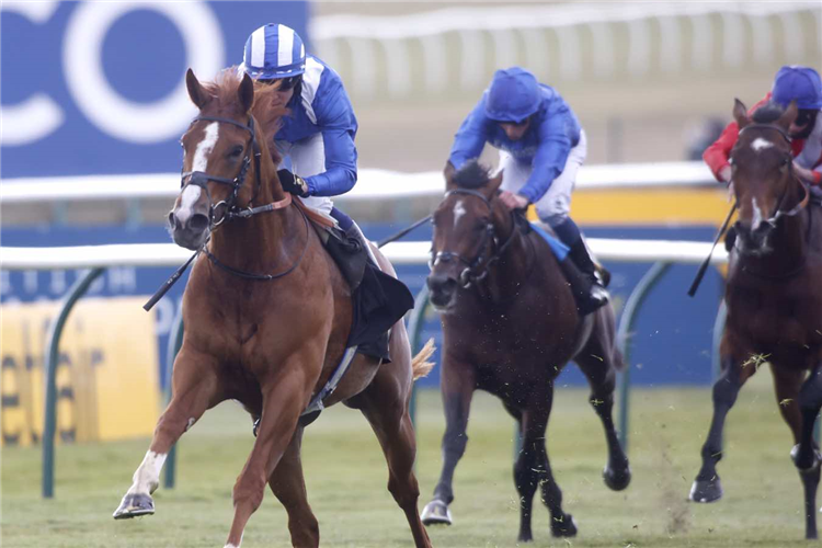 MOHAAFETH winning the Betfair Newmarket Stakes (Listed)