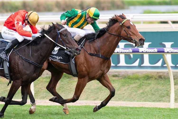 MONEY MATTERS winning the Roma Cup at Ascot in Australia.
