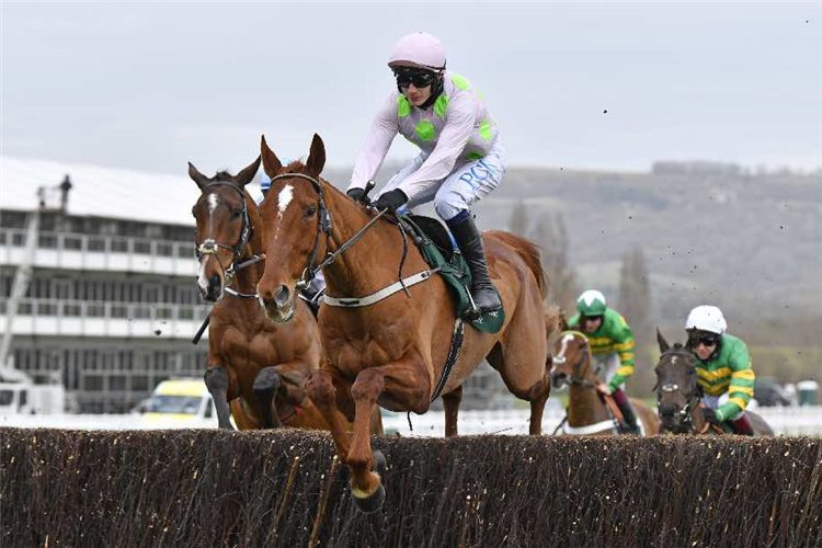 MONKFISH winning the Brown Advisory Novices' Chase (Registered As The Broadway Novices' Chase) (Grade 1) (GBB Race).