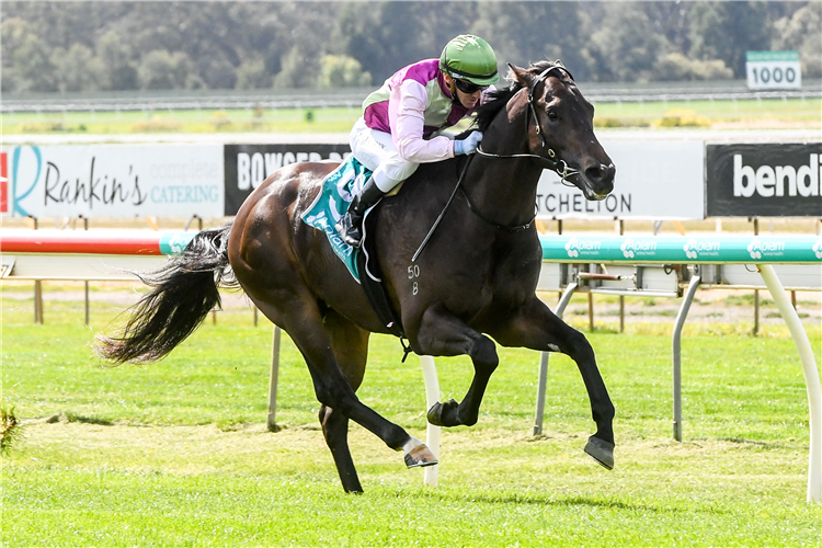 MORNINGTON GLORY winning the Bendigo Mazda Maiden Plate in Bendigo, Australia.