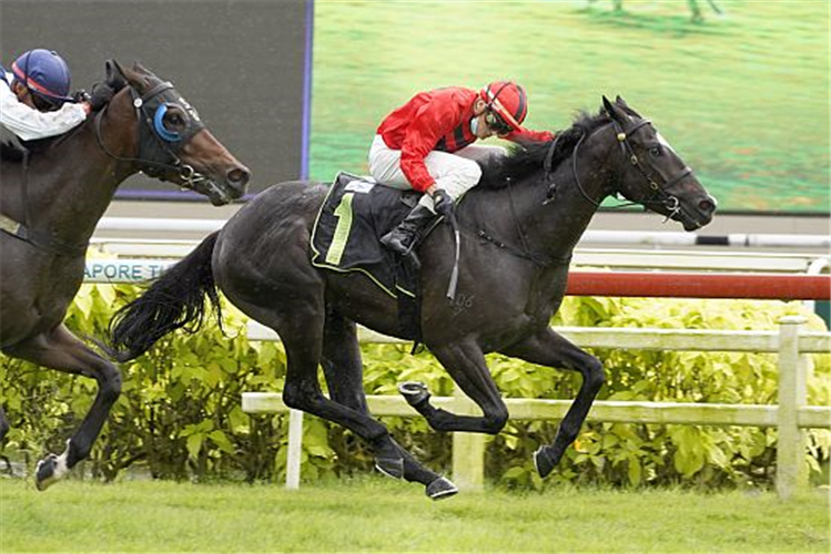 MORTAL ENGINE winning the PROSPERITY STAKES RESTRICTED MAIDEN