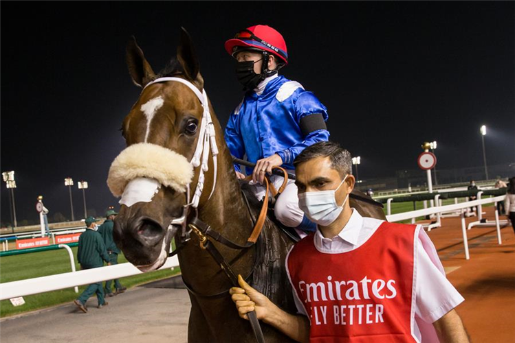 Motafaawit after winning a 5f DWC Carnival handicap in dominant fashion