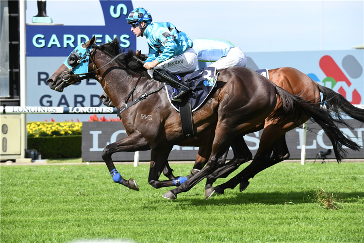 MO'UNGA winning the Sky Racing Rosehill Guineas at Rosehill in Australia.