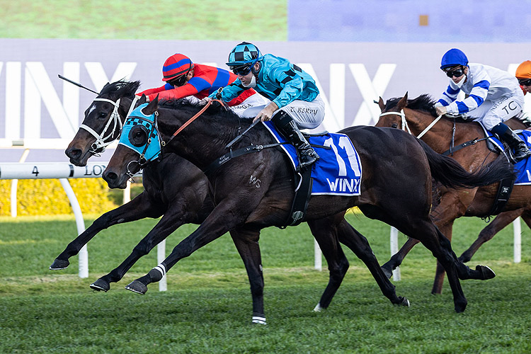 MO'UNGA winning the Winx Stks