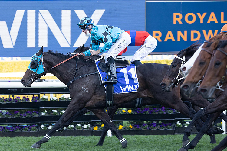 MO'UNGA winning the Winx Stks