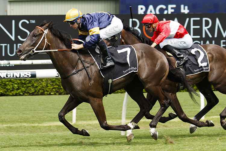 MOUNT POPA winning the Randwick City Stakes