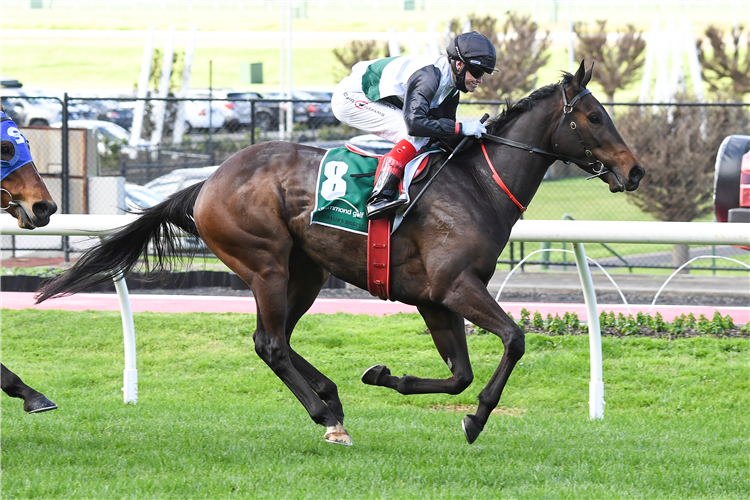 MR BRIGHTSIDE winning the Drummond Golf Hcp at Moonee Valley in Australia.