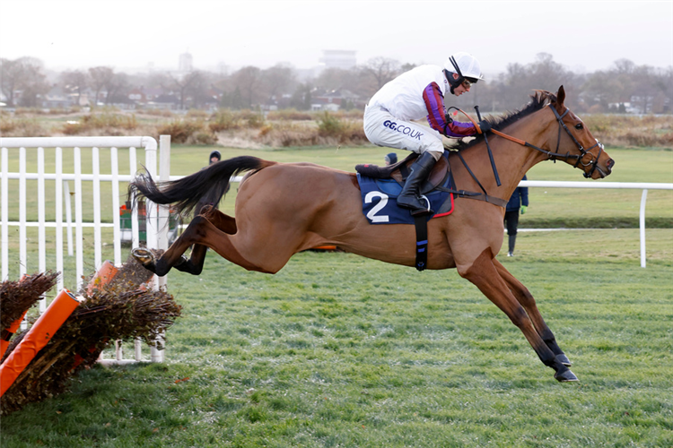 MR GLASS winning the Weatherbys nhstallions.co.uk 'The French Furze' Novices' Hurdle (GBB Race)