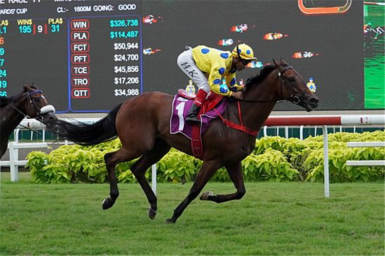 MR MALEK winning the STEWARDS' CUP GROUP 2