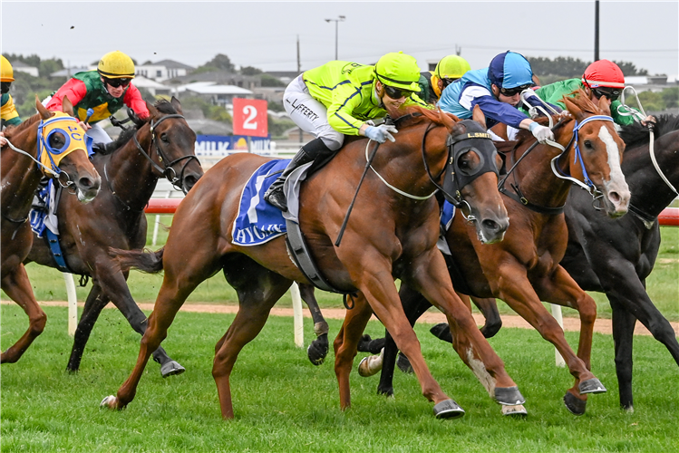 Travis Noonan Warrnambool Preview (January 7, 2024) Racing and Sports