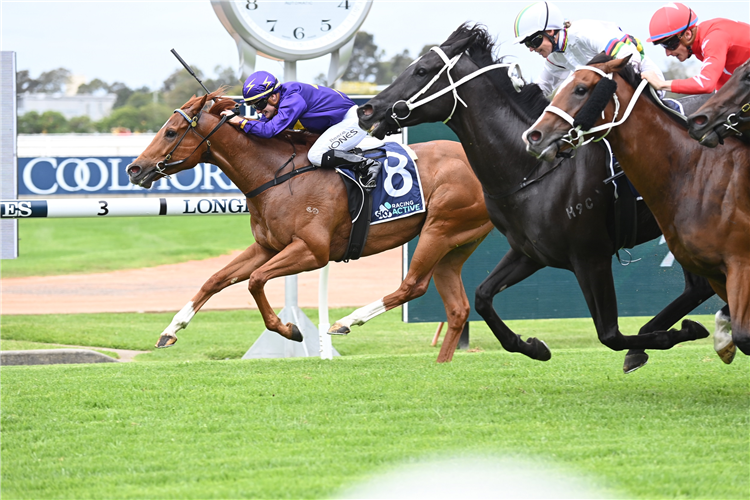 MR MOSAIC winning the Guildford Leagues (Bm88) at Rosehill in Australia.