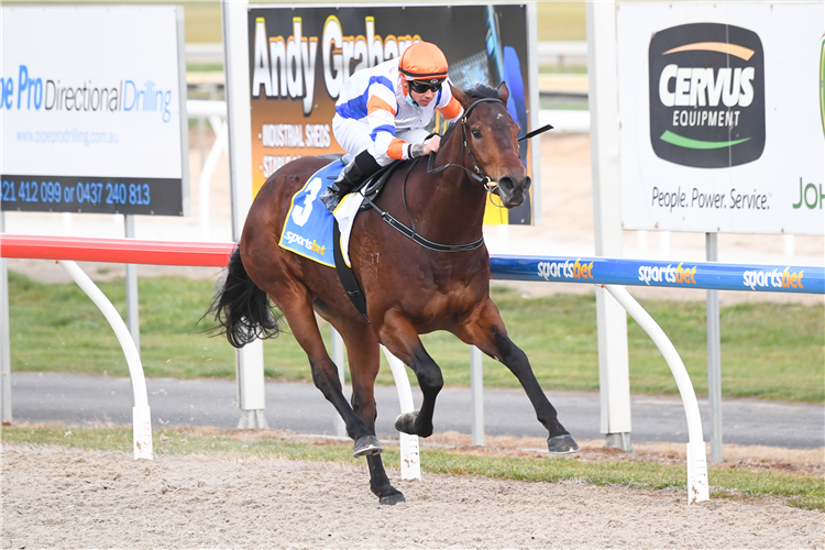 MY BOY BIRMINGHAM winning the Polytrack Mdn Plate at Ballarat in Australia.