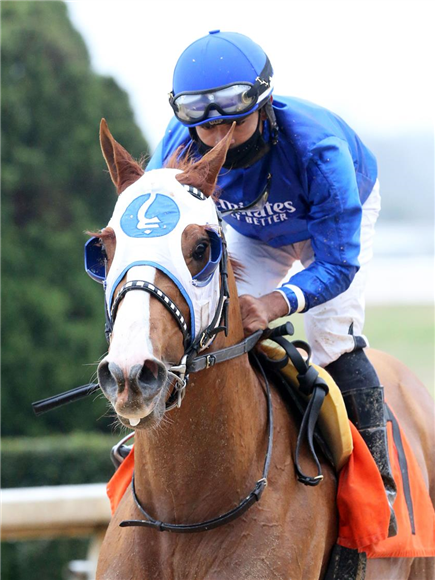 Mystic Guide and Luis Saez at Oaklawn Park